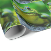 Die Nase eines Frosches Geschenkpapier (Rolleneckpunkt)