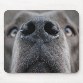 Die Nase eines großen Tausches Mousepad