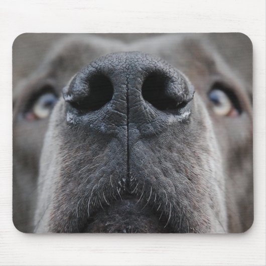 Die Nase eines großen Tausches Mousepad (Vorne)