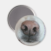 Die Nase kennt den Dog Nose #1-Magneten Magnet (Vorderseite/Rückseite)