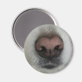 Die Nase kennt den Dog Nose #2-Magneten Magnet (Vorderseite/Rückseite)