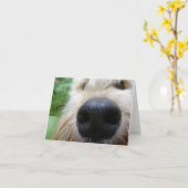 Die Nase weiß! Karte (Gelbe Blume)