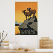 Die Nationalparks bewahren das Wilde Leben Poster (Küche)