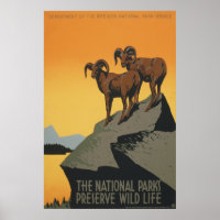 Die Nationalparks bewahren das Wilde Leben