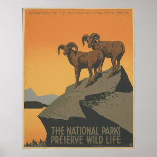 Die Nationalparks Poster