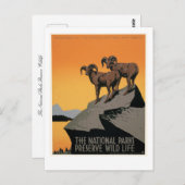 Die Nationalparks schützen die Tierwelt Postkarte (Vorne/Hinten)