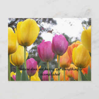 Die Natur beeilt sich nicht, doch alles... Postkarte