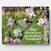 Die Natur beeilt sich nicht zu inspirierendem Zita Fotoplatte (Vorderseite)