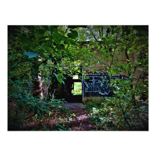 "Die Natur behauptet das Vergessene" Fotodruck (Vorne)