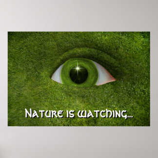 Die Natur beobachtet... Poster