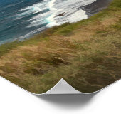 Die Natur des tropischen Ozeans Poster (Ecke)