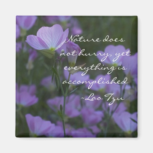 Die Natur eilt nicht Magnet (Vorne)