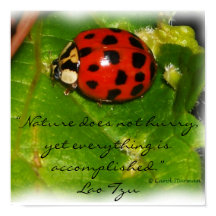 Die Natur hasst Poster nicht