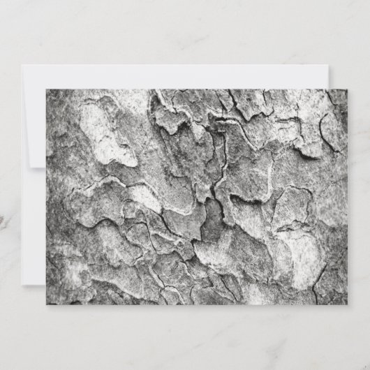 Die Natur hier Einladung (Vorderseite)