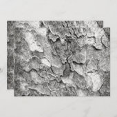 Die Natur hier Einladung (Vorne/Hinten)