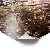 Die Natur in der Sonne Fotodruck (Ecke)