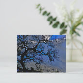 Die Natur ist alt Postkarte (Stehend Vorderseite)