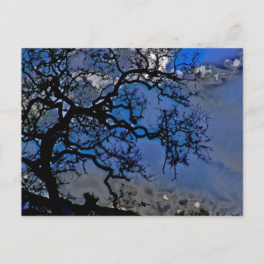 Die Natur ist alt Postkarte (Vorderseite)