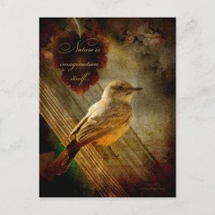 Die Natur ist Fantasie Postkarte