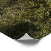 Die Natur ist manchmal einsam Poster (Ecke)