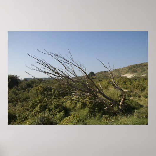 Die Natur ist manchmal einsam Poster (Vorne)