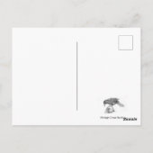 Die Natur-Jester und das Zeitalter Postkarte (Rückseite)