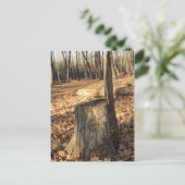 Die Natur ruft Postkarte (Stehend Vorderseite)