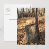 Die Natur ruft Postkarte (Vorne/Hinten)