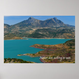 Die Natur tut nichts vergeblich Poster