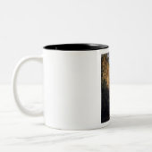 Die natürliche Brücke, Virginia durch Frederick Zweifarbige Tasse (Links)