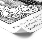 Die Naturwissenschaften in Gegenwart von Poster (Ecke)