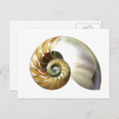 Die Nautilus-Muschel Postkarte (Vorne/Hinten)