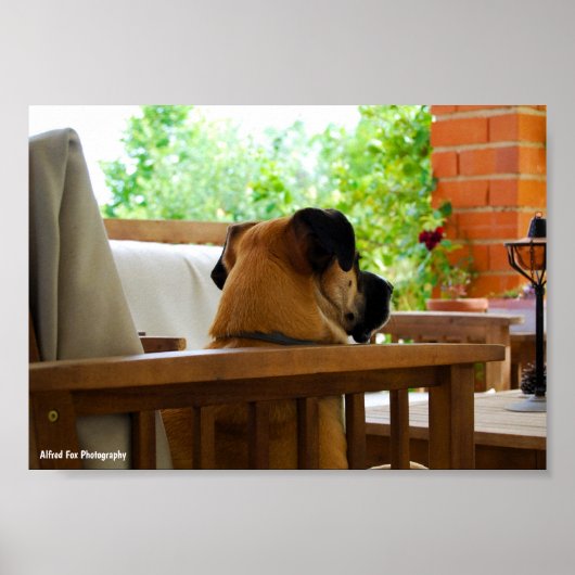 Die Neighborhood Watch Poster (Vorne)