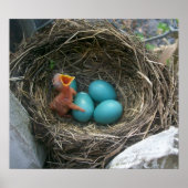 Die neue Ankunft im Frühling Poster (Vorne)