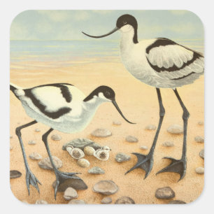 Die neue Generation 2012 Quadratischer Aufkleber