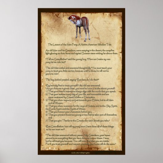 Die neue Pony-Lektion: Indianerisches amerikanisch Poster (Vorne)