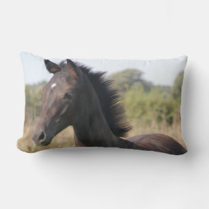 Die neue Pony Lendenkissen