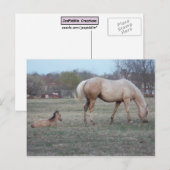 Die neue Postkarte (Vorne/Hinten)