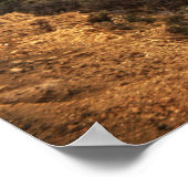 Die neue Stadt Petra Poster (Ecke)