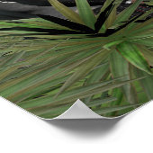 Die neue Welt - ein kleines Poster (Ecke)