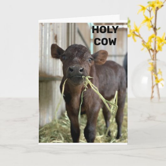 DIE NEUESTEN MOOS SIND ***50*** KARTE (Gelbe Blume)