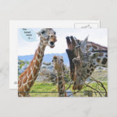 Die neuesten Nachrichten sind Postkarten (Vorne/Hinten)