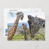 Die neuesten Nachrichten sind Postkarten (Vorne/Hinten)