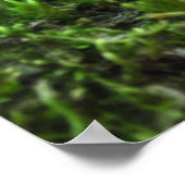 Die Neugierige Märchen - Das Poster der Märchen un (Ecke)