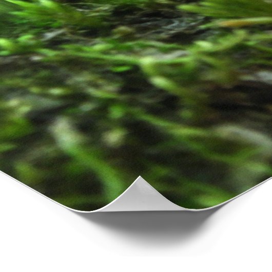 Die Neugierige Märchen - Das Poster der Märchen un (Ecke)