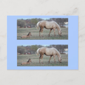 Die Newcomer Bookmarkers Postkarte