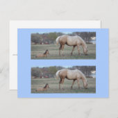 Die Newcomer Bookmarkers Postkarte (Vorne/Hinten)