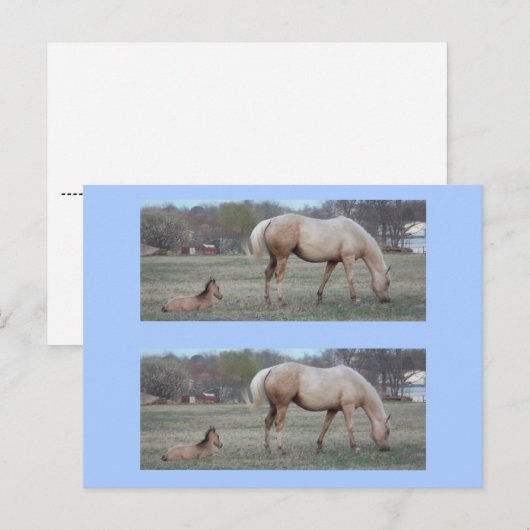 Die Newcomer Bookmarkers Postkarte (Vorne/Hinten)