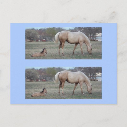 Die Newcomer Bookmarkers Postkarte (Vorderseite)