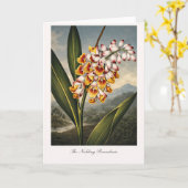 Die nickende Renealmia — Moderne botanische Neuint Karte (Gelbe Blume)